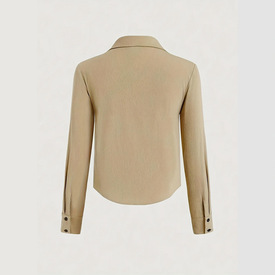 Pleated Elegant Long Sleeve Top
