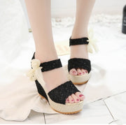Sexy Korean Style Waterproof Platform Heel Sandals