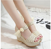 Sexy Korean Style Waterproof Platform Heel Sandals
