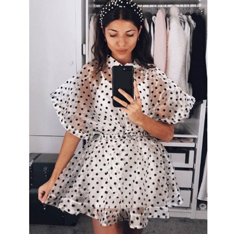 Hot & Sweet See-through Sexy Organza Blouse Lined With Suspenders Two-piece Casual Dress