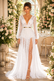 Mesh Shiny Long Sexy Events Dress