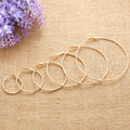 Classic Big Circle Metal Exaggerated Circle Earrings