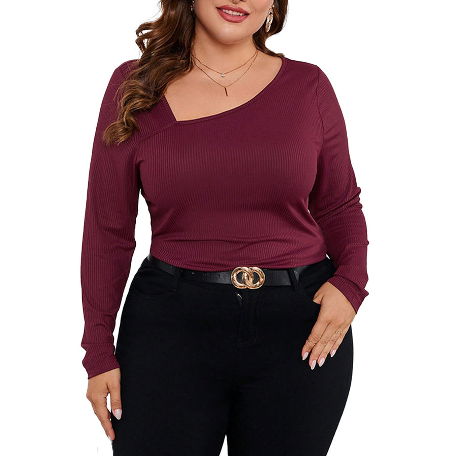 Long Sleeve Slim Fit Knit Pullover Top