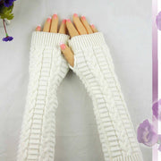 Chic Korean Style Fingerless Long Gloves
