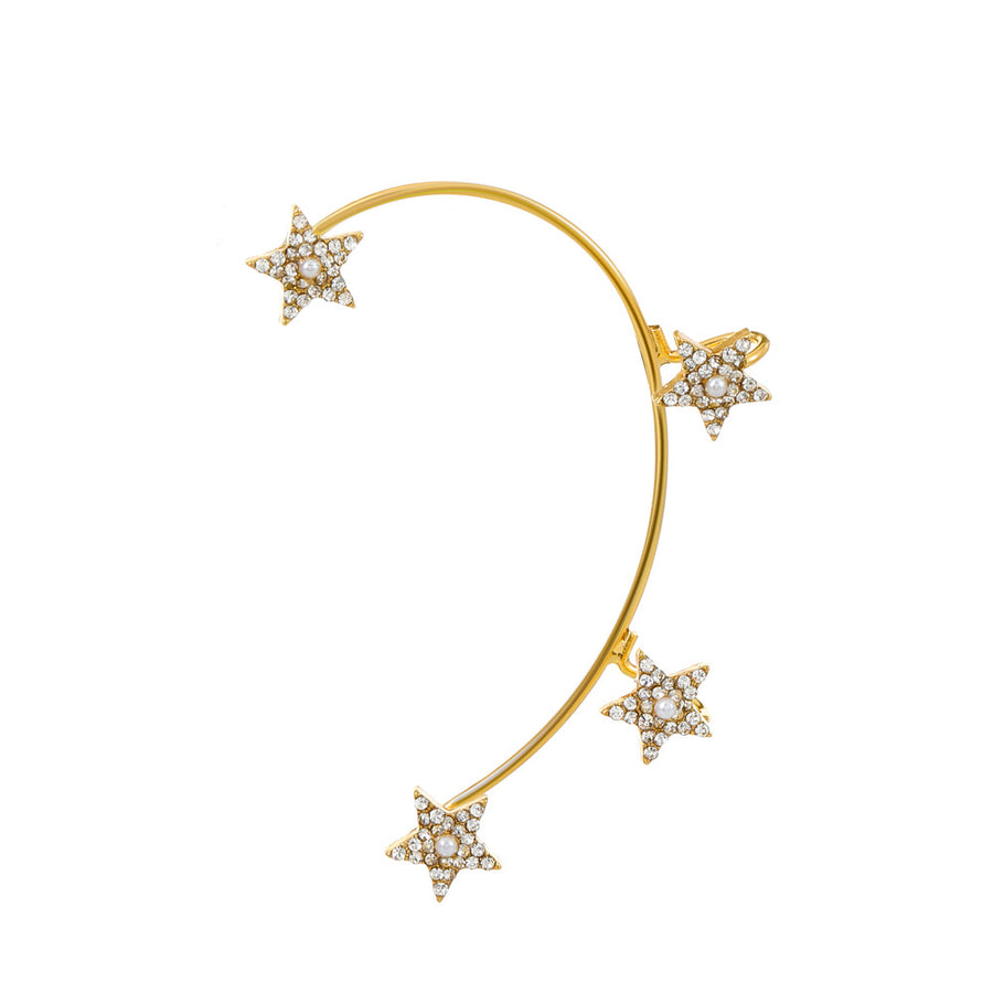 Butterfly Desuign Earrings Without Pierced Diamonds